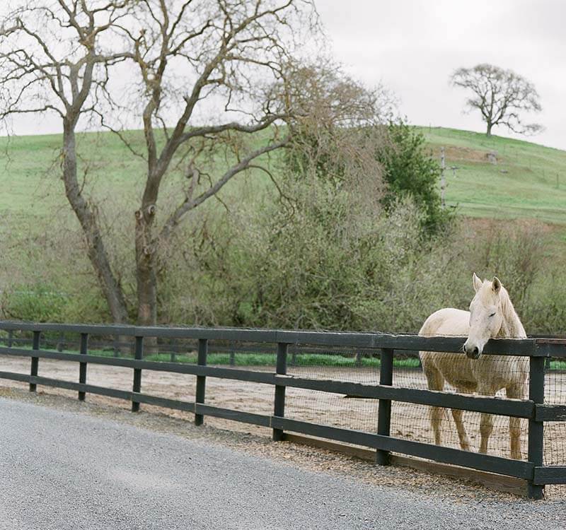 horse-riding-10